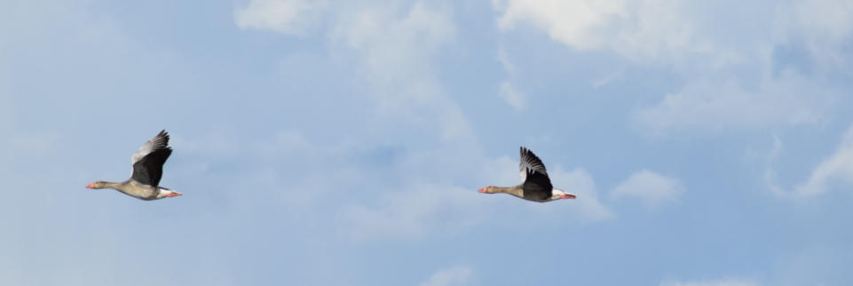  Foto: © Martina Busch - https://werbestilgestaltung.de