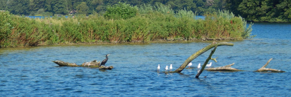  Foto: © Martina Busch - https://werbestilgestaltung.de