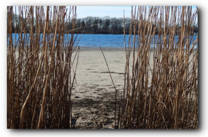  Foto: © Martina Busch - https://werbestilgestaltung.de