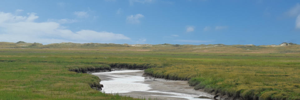  Foto: © Martina Busch - https://werbestilgestaltung.de