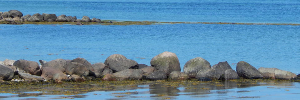  Foto: © Martina Busch - https://werbestilgestaltung.de